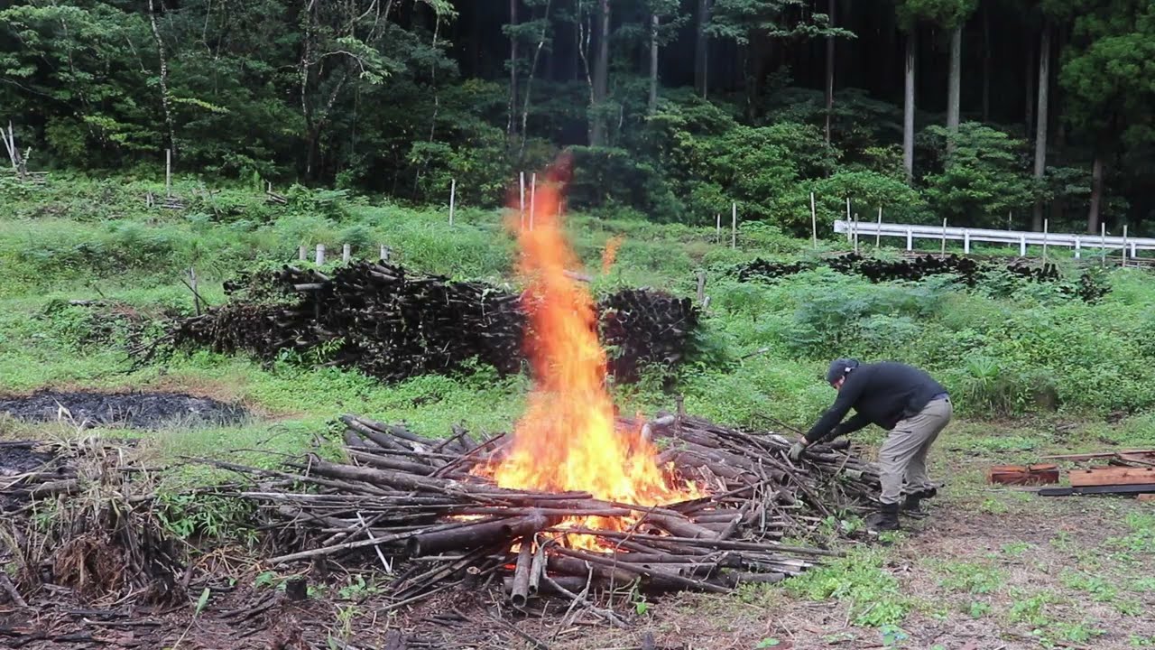 枯れ竹の焼却が熱すぎる‼ガンガン竹を灰にしていく｜畑作り