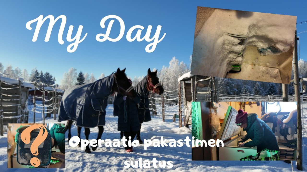 My Day 6.2.2026 || Operaatio pakastimen sulatus