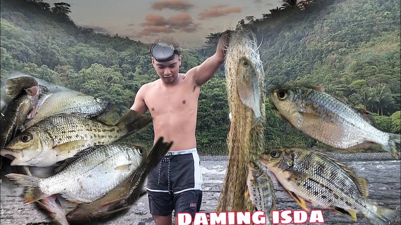 BIYAYA NG AGOS. SARIWANG ISDA 