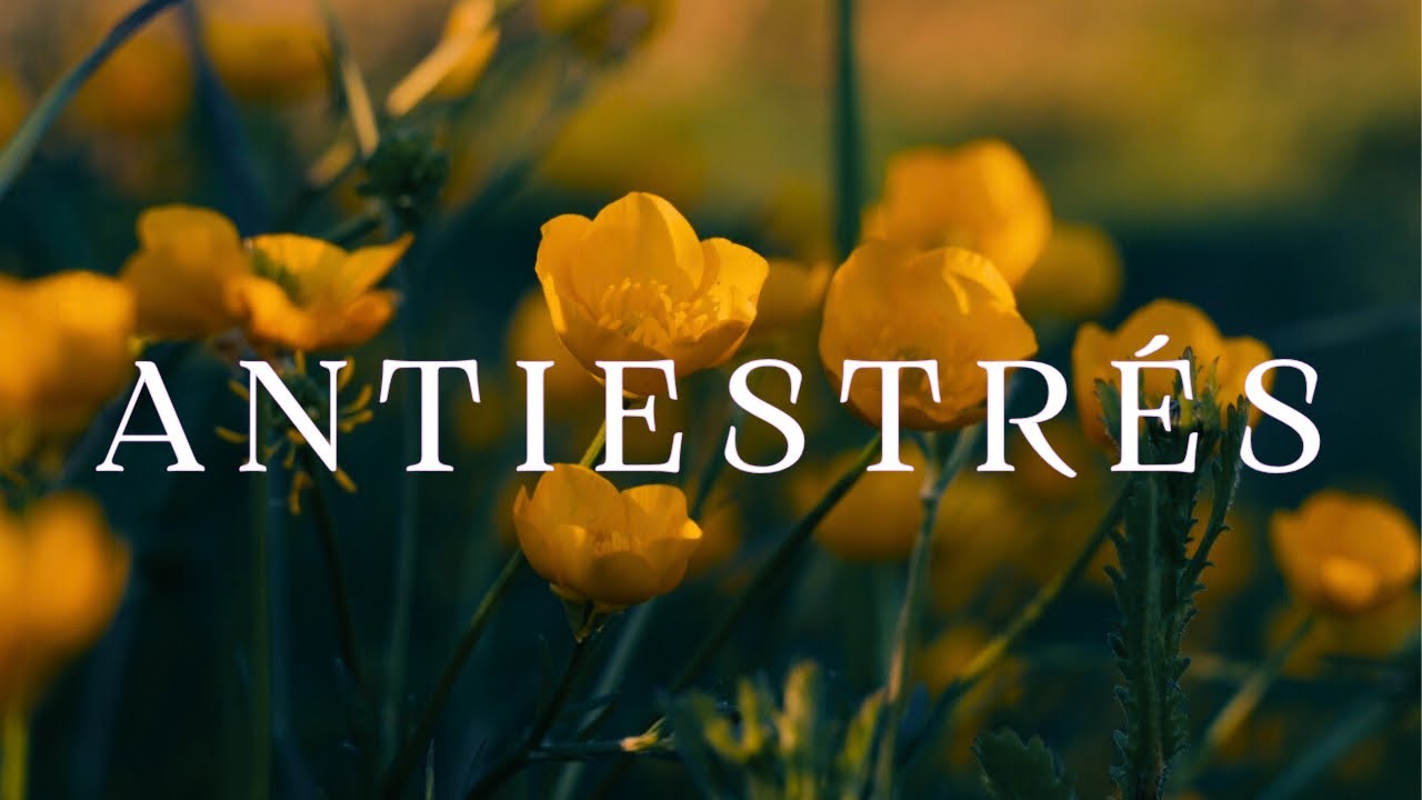 ANTIESTRÉS 🌼 Música Relajante para Calmar la Mente y Reducir la Ansiedad