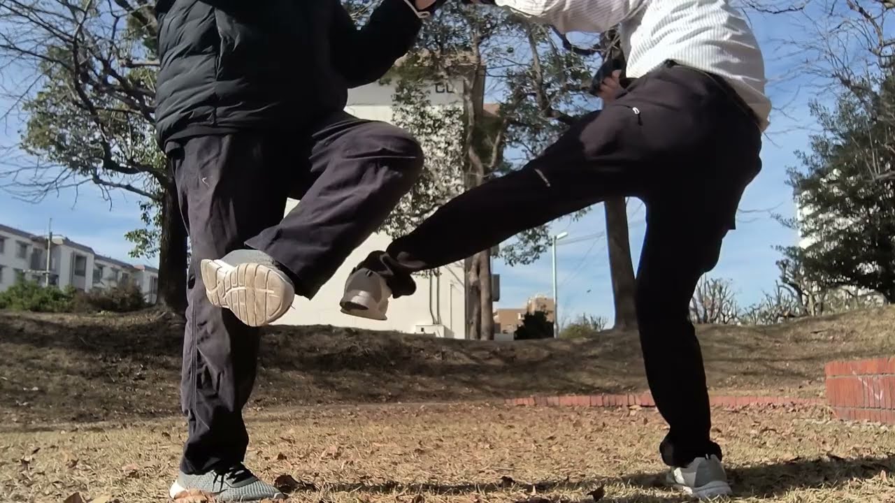 空手・拳法の稽古　219　　― 関節蹴り返し　　Karate ＆Kungfu step by step training 219　　Anti-Knee Kick