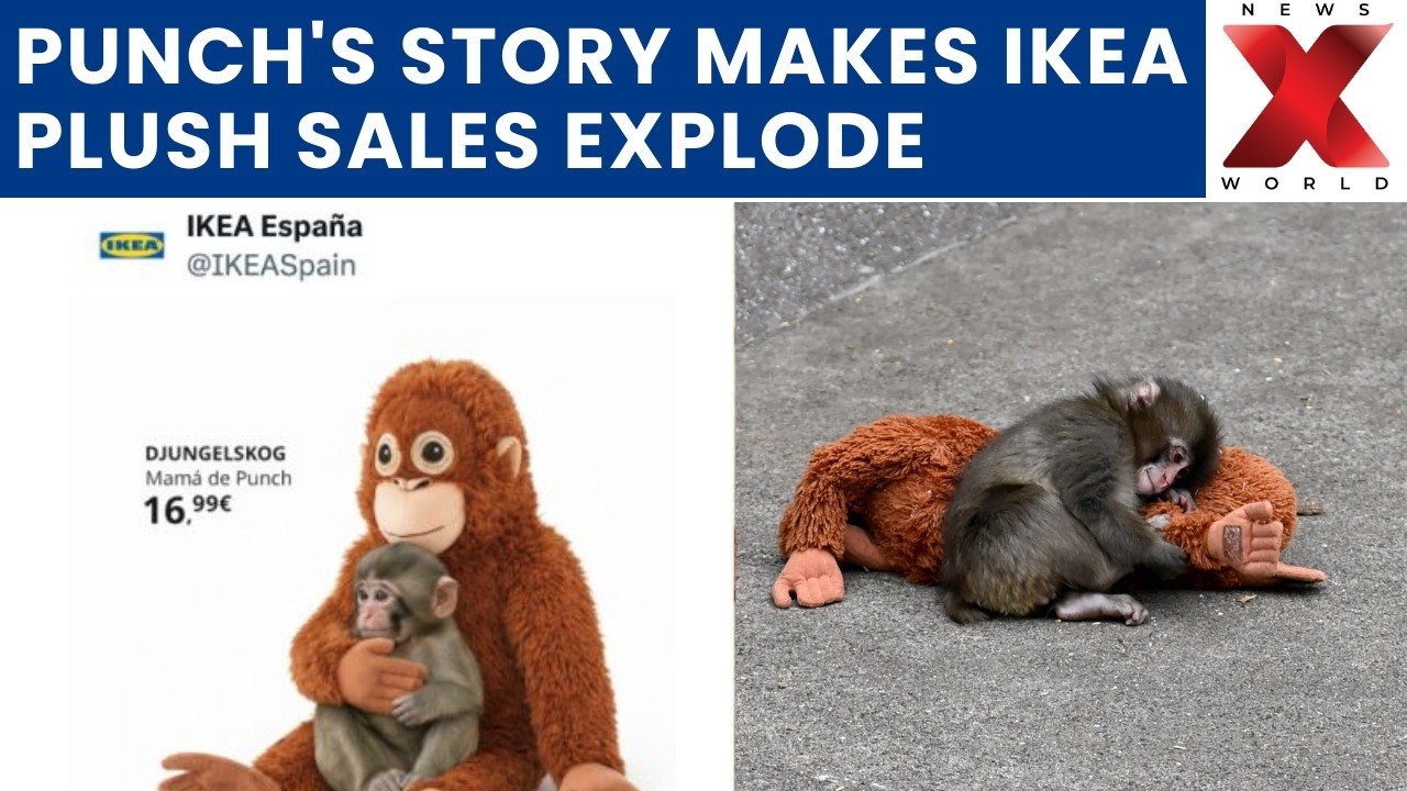 Ikea Orangutan Plush Sells Out After Monkey Viral Moment | NewsX World