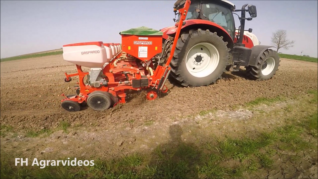 100 Abo Special/Mais Anbau 2018 mit Steyr 6160 und Gaspardo