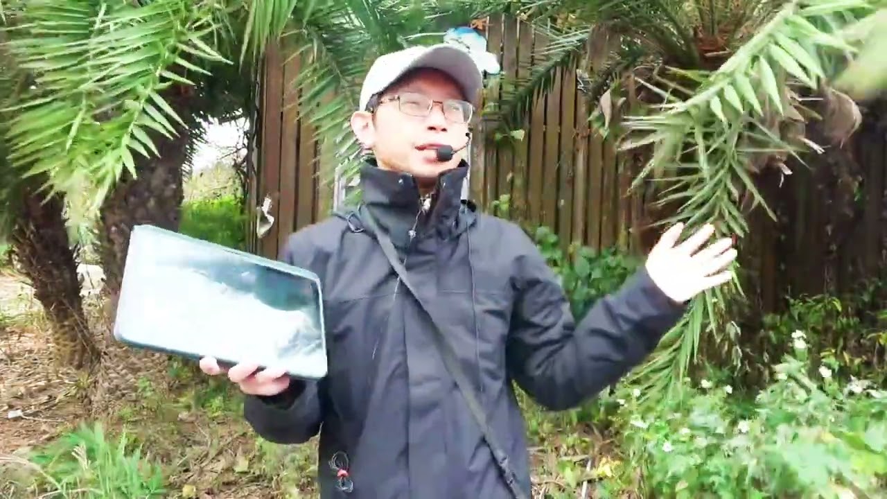 2026 2 1台中文山社大大肚台地龍井南寮槺榔台灣海棗文史與常民生活文化走讀之2徐毅振講師