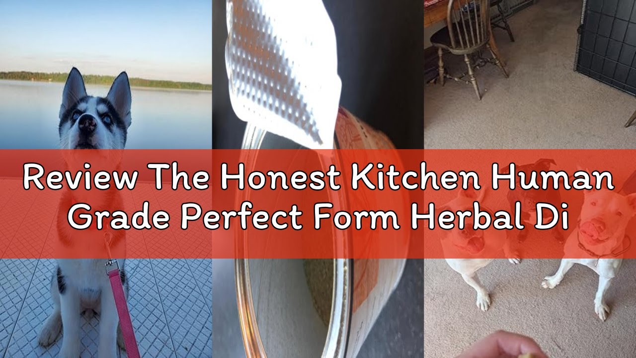 Review The Honest Kitchen Human Grade Perfect Form Herbal Digestive Supplement for Dogs & Cats, 3.2