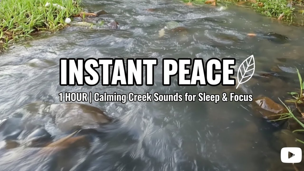 1 HOUR Deep Mystical River Sounds for Instant Sleep