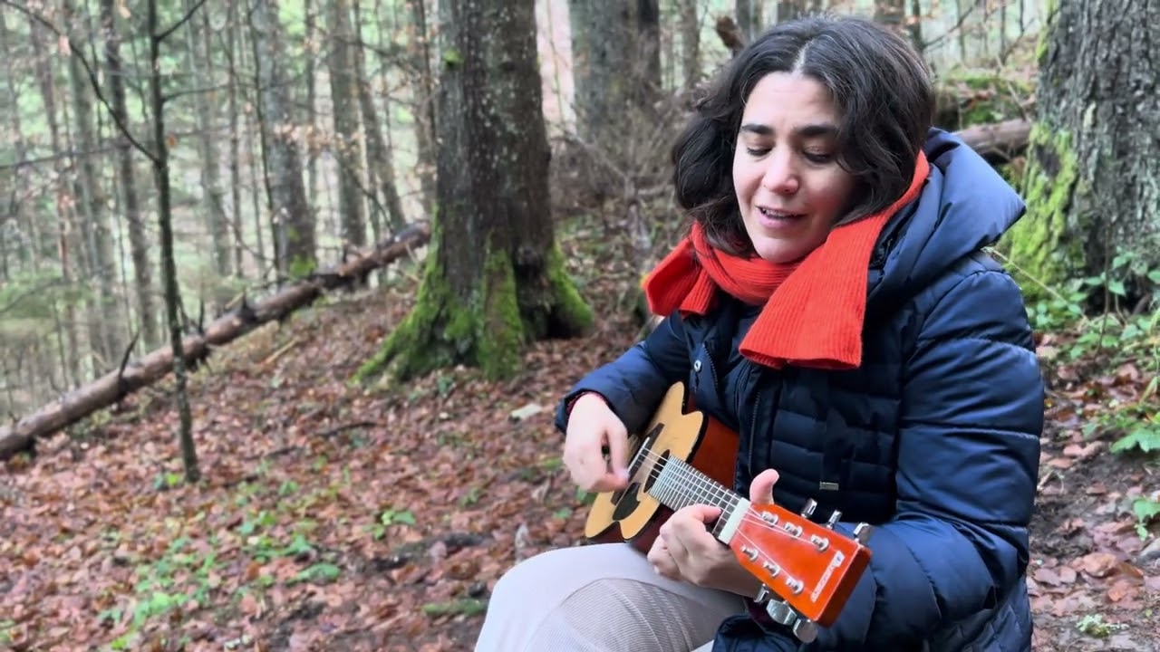 Home ~ in the mountains of Romania 
