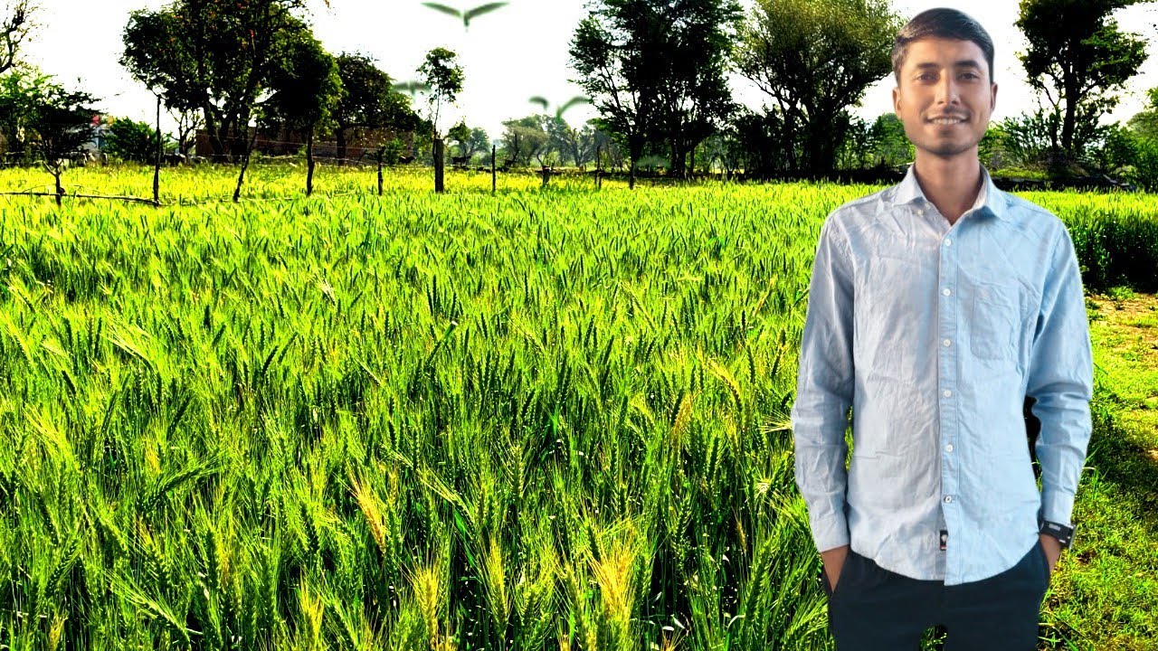 Our other business! Dj फ्री साइड काम? 