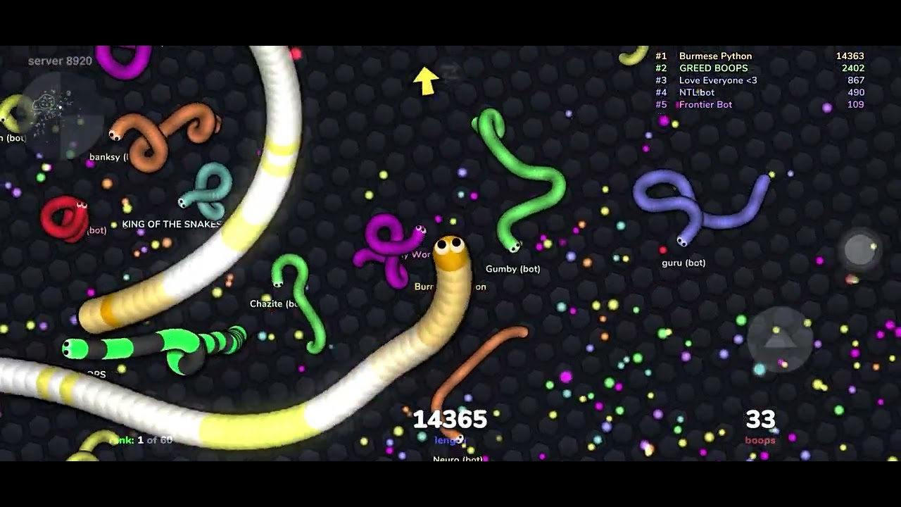 Can I grow up to 20 feet long as a Burmese Python is slither.io?