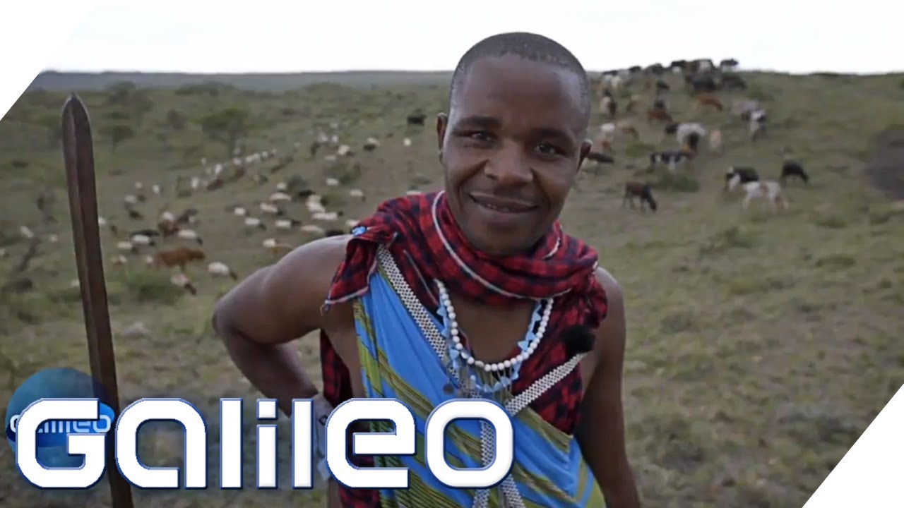 Massai-Krieger: Das ist ihr wichtigster Besitz | Galileo | ProSieben