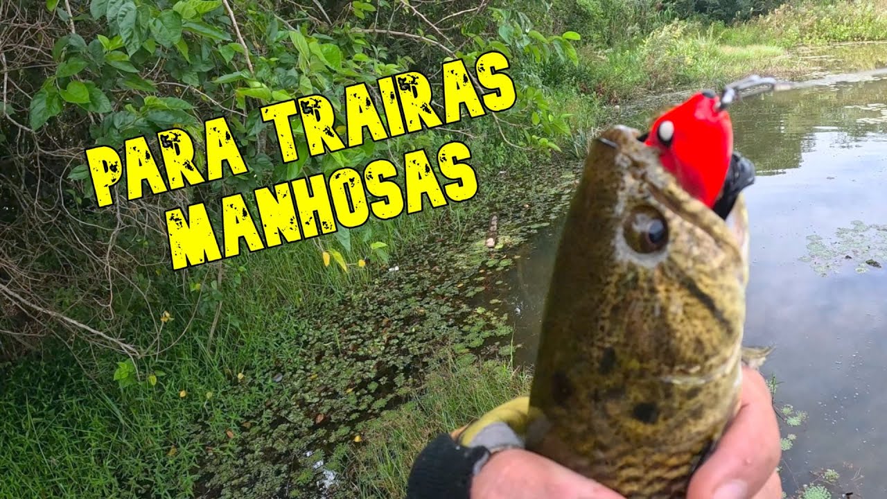 🚨DICA PARA NÃO PERDER TRAÍRAS MANHOSAS NA PESCARIA COM SAPINHO 🔥KIT ULTRALIGHT