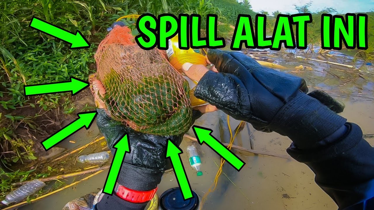 RUTE SPOT WADUK BENDO PONOROGO VIA HULU‼️ TAK BUTUH WAKTU LAMA UNTUK DAPAT TARIKAN IKAN NILA BABON.