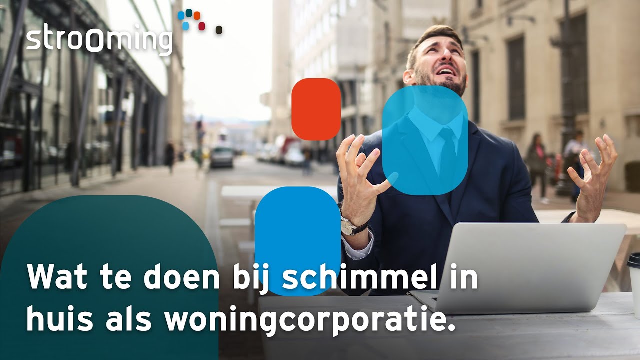 Wat te doen bij schimmel in huis als woningcorporatie?