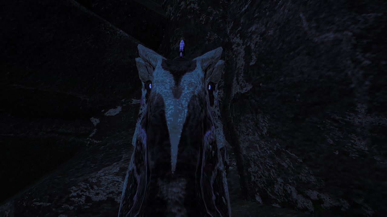 Clip dump + bad acro attempt Beasts Of Bermuda