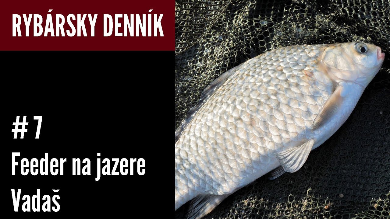 Rybársky Denník Jakuba Fabiana #7 │Feeder na jazere Vadaš