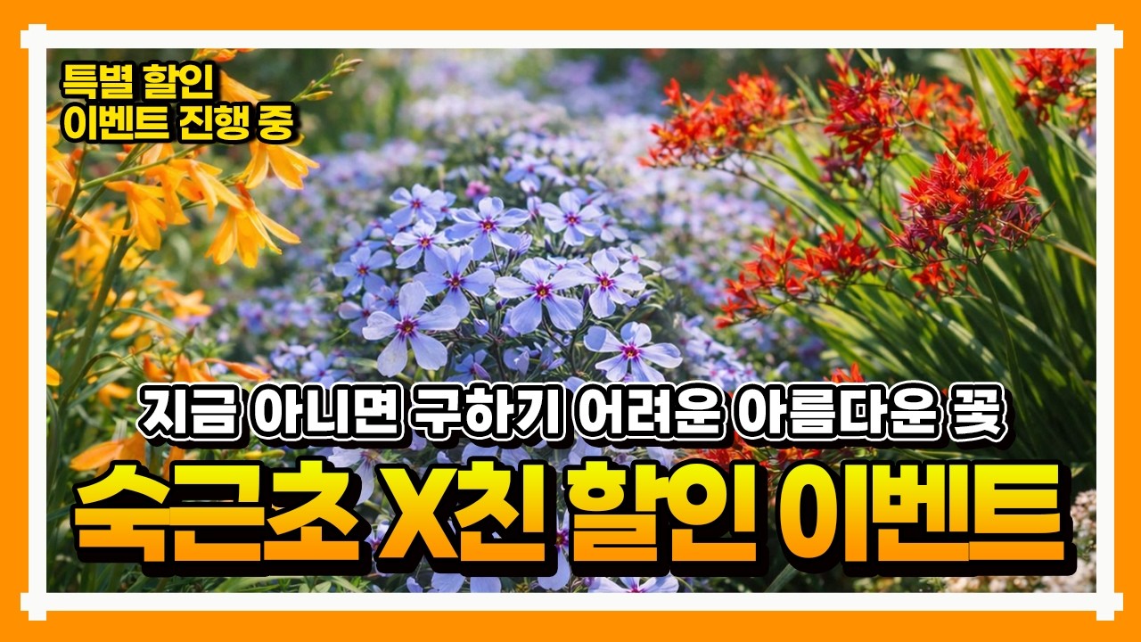 [숙근초 특집 ep1] 봄 심기 추천 숙근초 &mdash; 겹매발톱&middot;애기범부채2종&middot;플록스 모종 판매