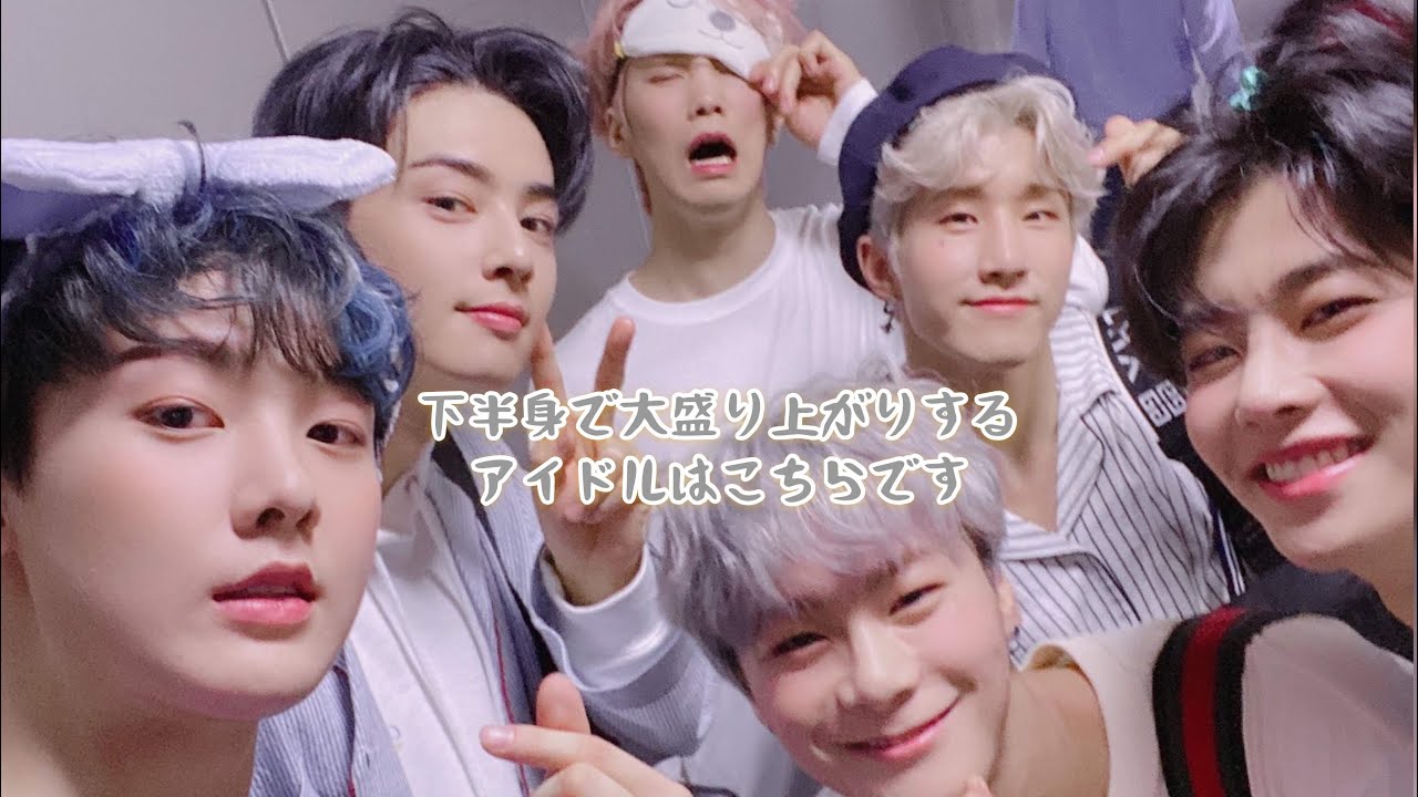 日本語字幕 動物マフィア② ASTROも男の子です🤣