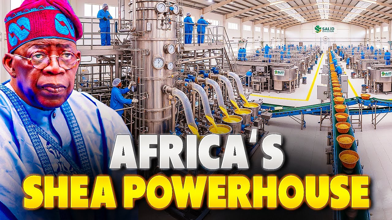Africa’s Largest Shea Butter Plant Opens in Nigeria – A Game Changer