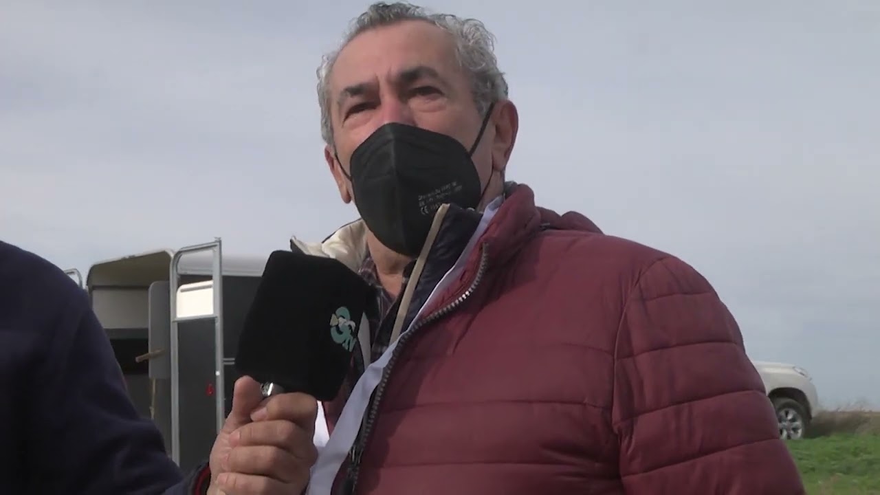 21 12 2020 GALGOS TV 50  CUARTOS DEL GRUPO 5 ANDALUCIA