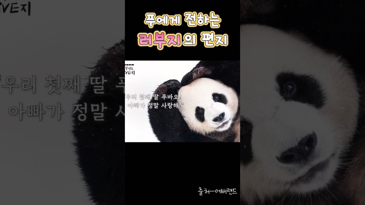 판생을 응원하며 보냈건만..