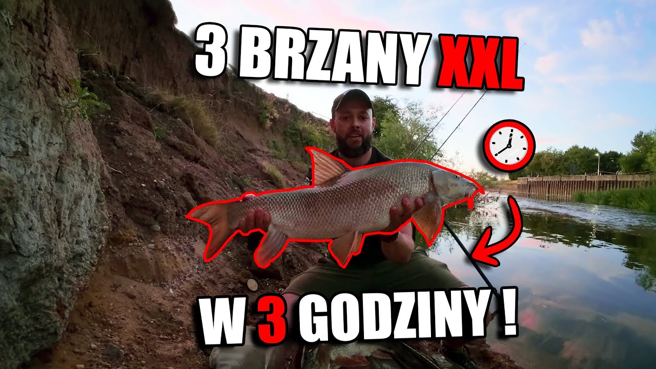 3 Brzany XXL w 3 Godziny! | Jak Złowić Brzanę