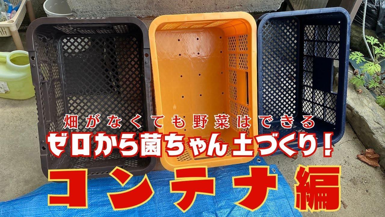 お家で楽しむ菌ちゃん農法！安全安心の菌ちゃん野菜を育てたい方のために菌ちゃんコンテナを作りました！【菌ちゃん農法３年目】