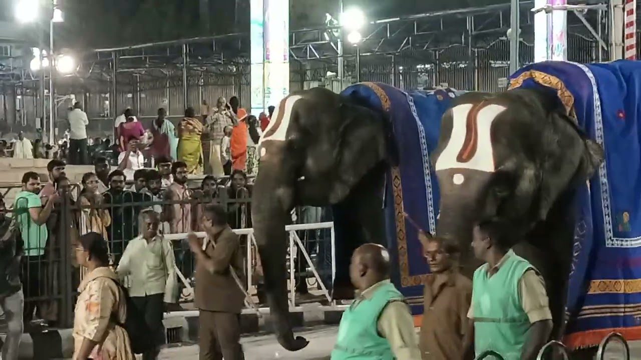 Garudostavam Tirumala Temple 🙏🙏🙏