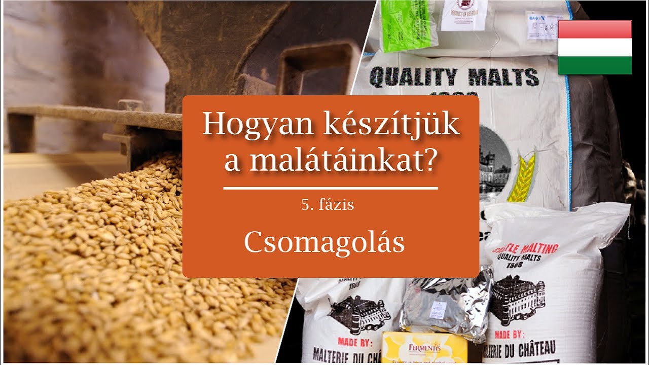 Hogyan k&eacute;sz&iacute;tj&uuml;k a mal&aacute;t&aacute;inkat? 5. f&aacute;zis | Castle Malting