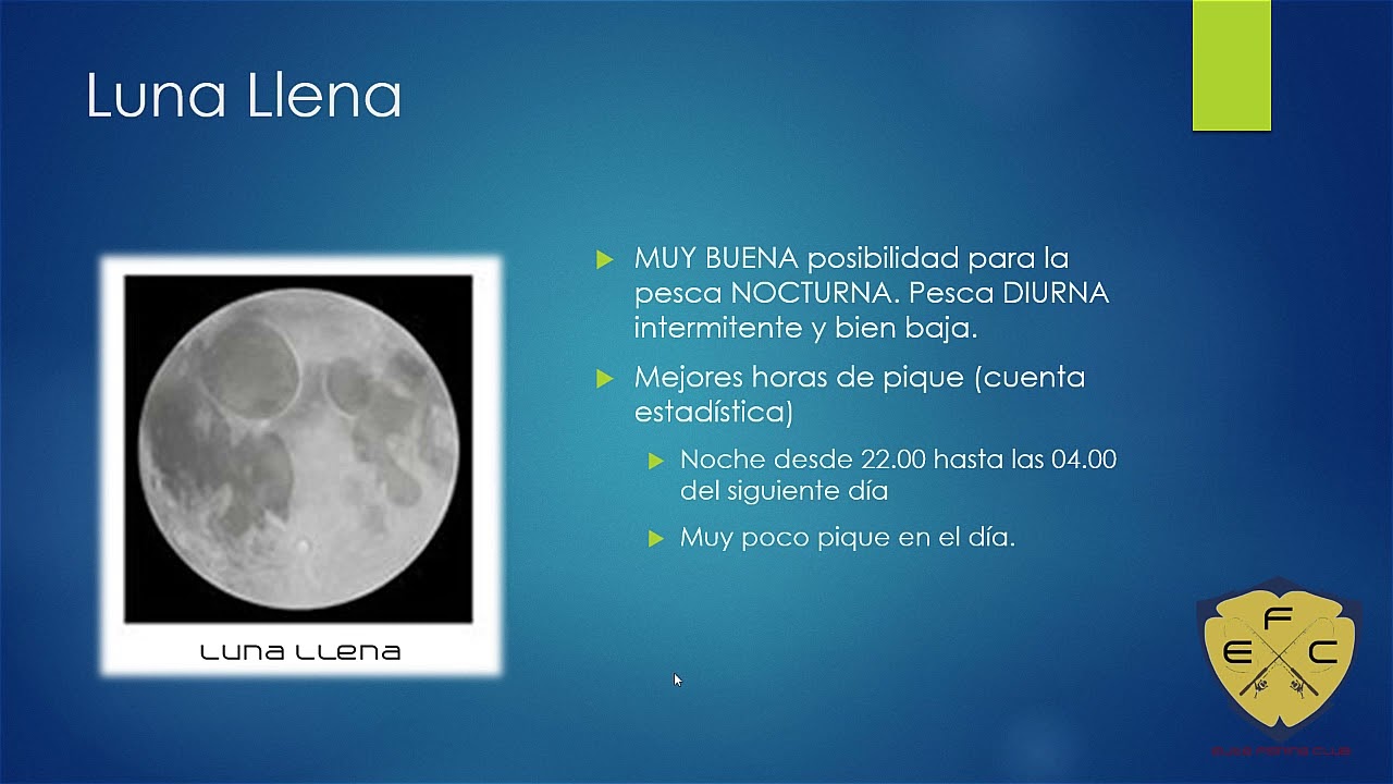 EFC Fases lunares
