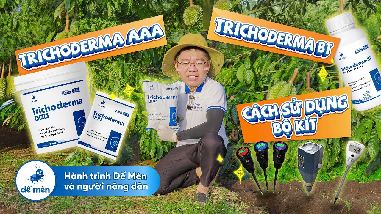 Hành Trình Dế Mèn và Người Nông Dân - Tập 16|HƯỚNG DẪN BÀ CON SỬ DỤNG BỘ KÍT & SẢN PHẨM TRICHODERMA