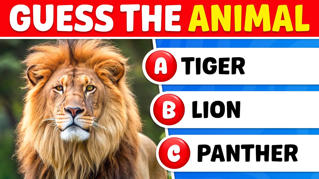 Guess The Wild Animals 🐾🦁🌿 | Animal Guessing Game | Knowlio