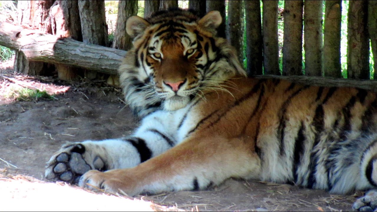 ZOO Zlín 2013
