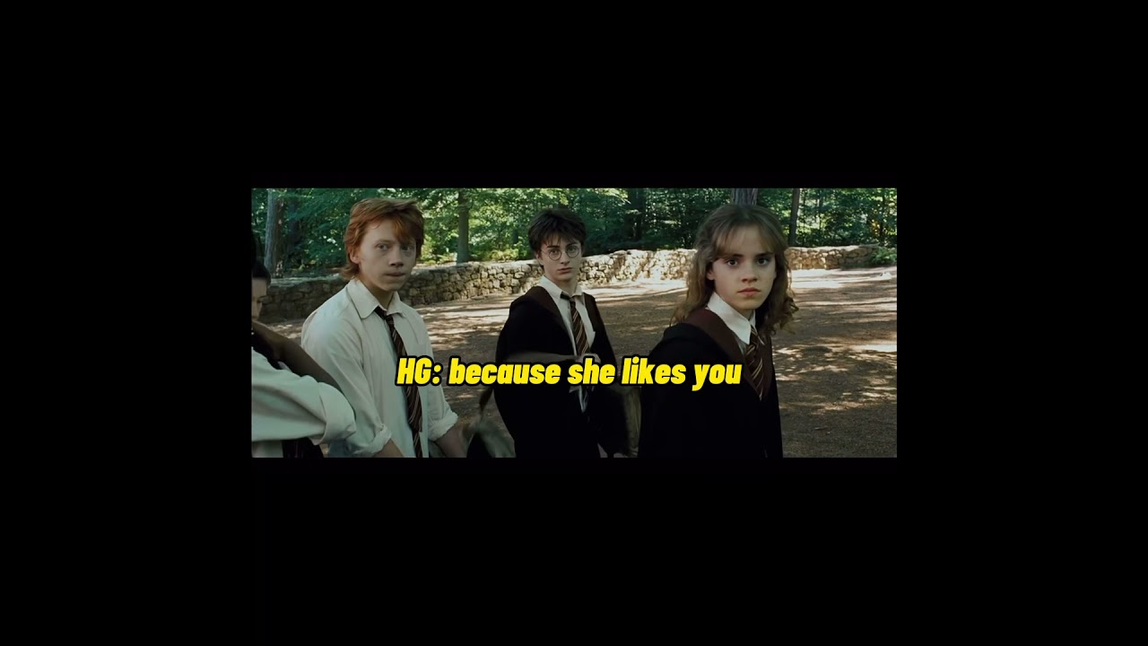 Y/N x Mattheo Riddle