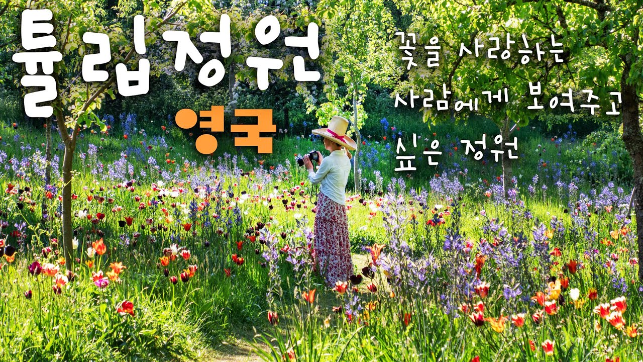 2025년 영국 최고의 튤립 가든에서 2일 / 자연스럽고 예쁜 정원을 꿈꾼다면 필수 ... ( Dyrham Park Tulips)