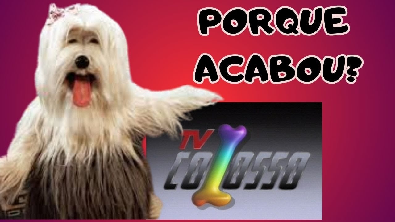 VOC&Ecirc; LEMBRA DA TV COLOSSO ( PORQUE ACABOU ?)