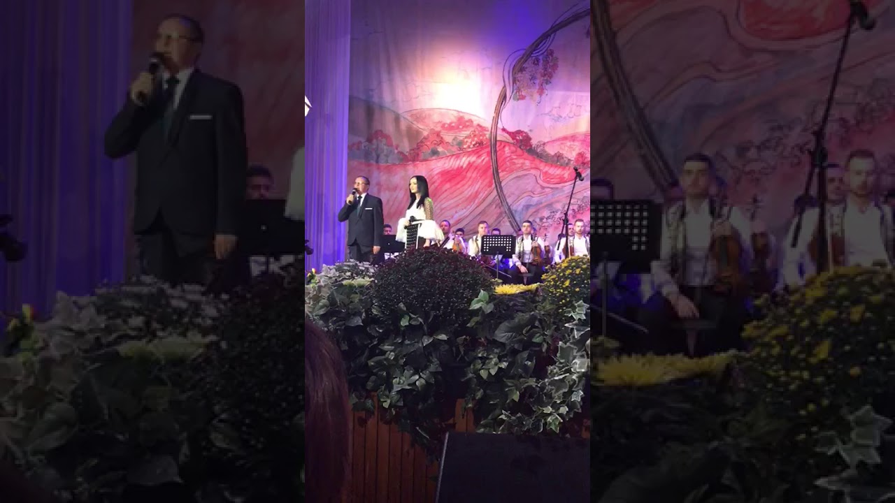Andrei Haneș la Strugurele de Aur