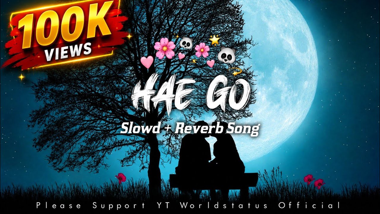 Hae Go | Sambalpuri Lofi Song Singer Mantuchhuria And | Aseema Panda Slow Reverb Music 