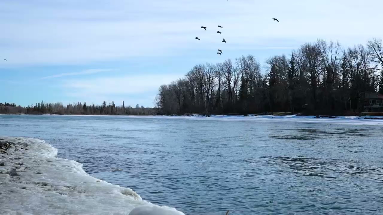 Winter River Sounds | Alberta, Canada | Natural Water Ambience (45 Minutes)