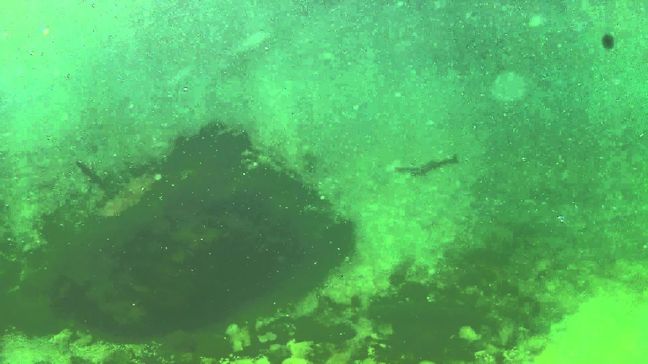 Monster Hucho, 20kg huchen, danube salmon 1.2m, on 4 weight fly-rod