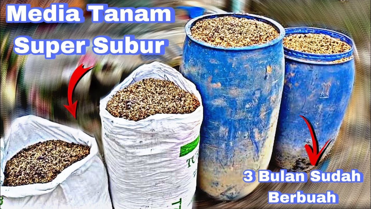 Media tanam Super Subur,gembur dan sehat untuk tanaman anggur