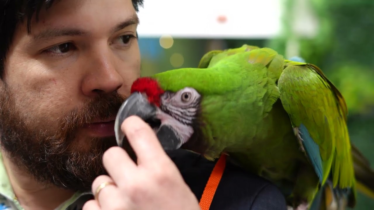 FOR PETS | ohlédnutí 2025