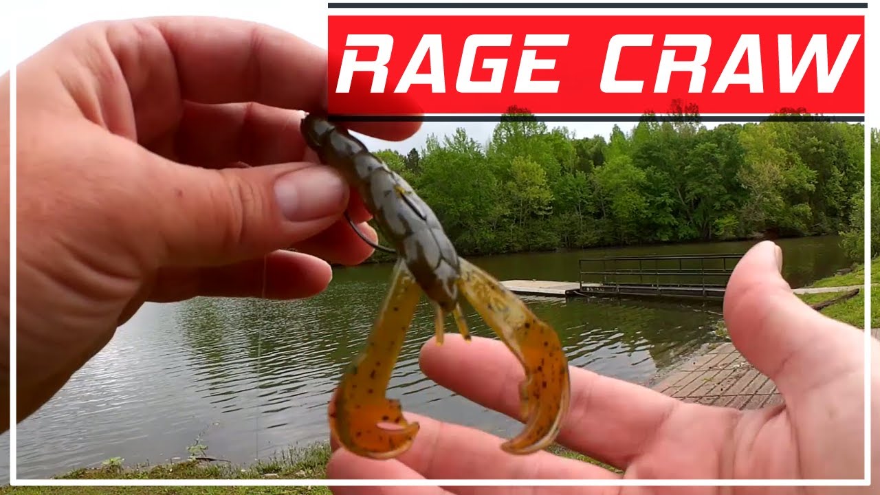 Texas Rig Fishing for the Biggest Bass of the Year! RAGE CRAW BASS