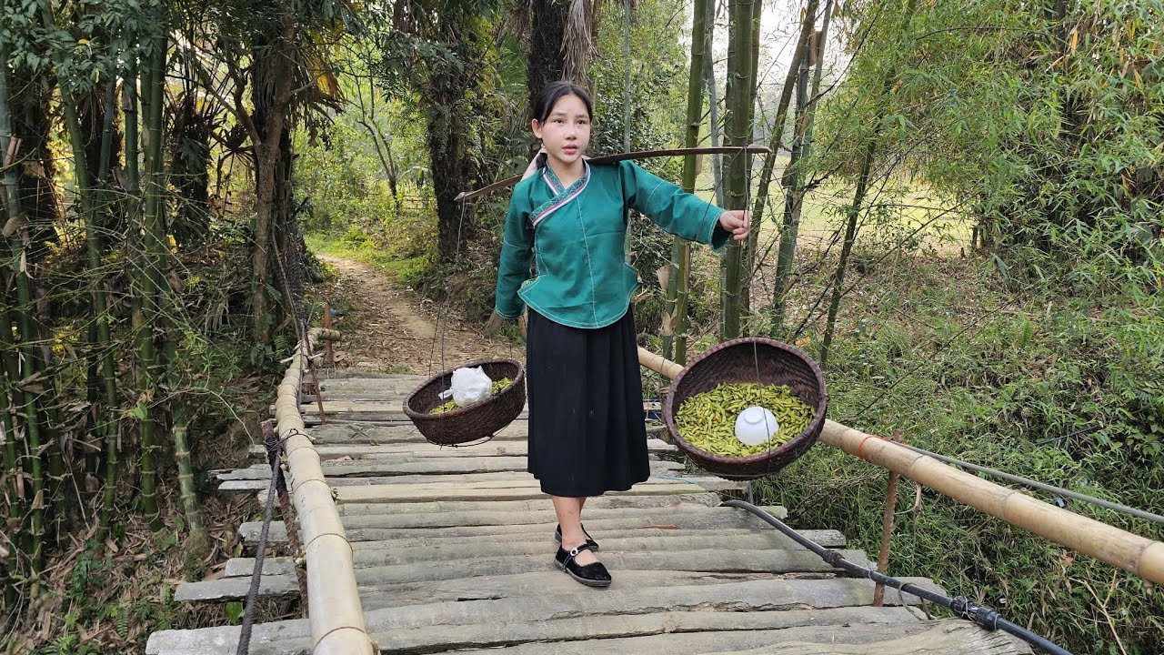 17 year old girl harvests soybean garden, processes and sells at market
