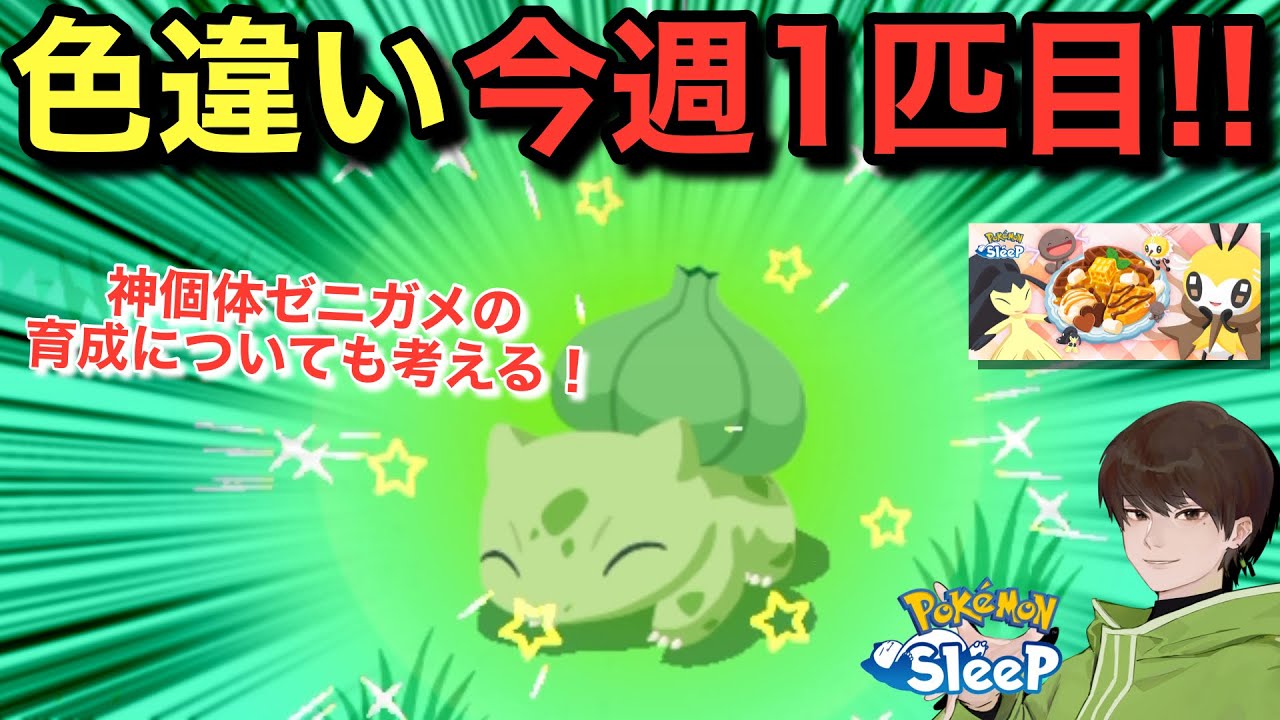 きのみSの食材ポケvs食材特化を考える🤔【ポケモンスリープ】【バレンタイン2026】無課金リサーチ932/917日目
