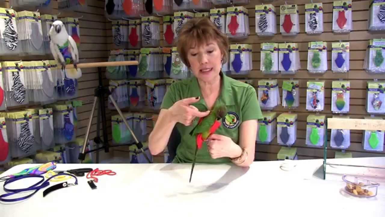 FlightSuit Tips and Conditioning by Avian Fashions