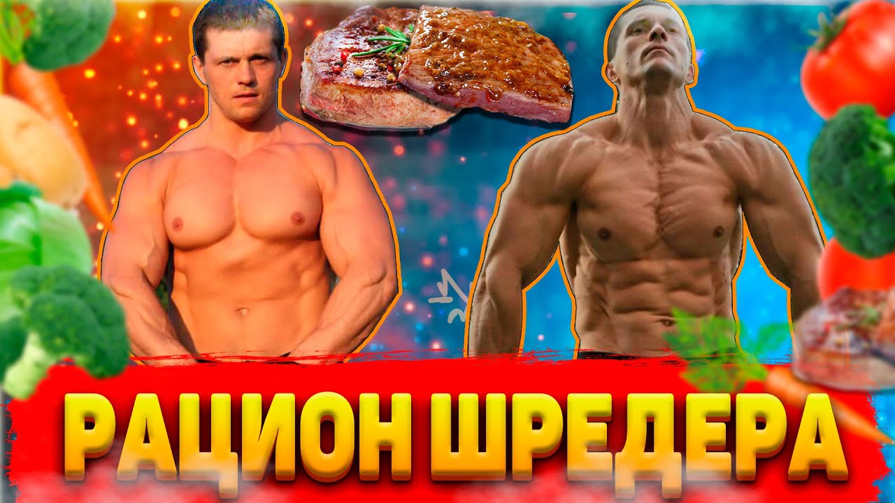 Дневной Рацион и Холодильник Шреддера: подробный разбор