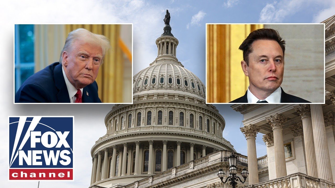 Dems fume over Elon Musk's DOGE team at House hearing