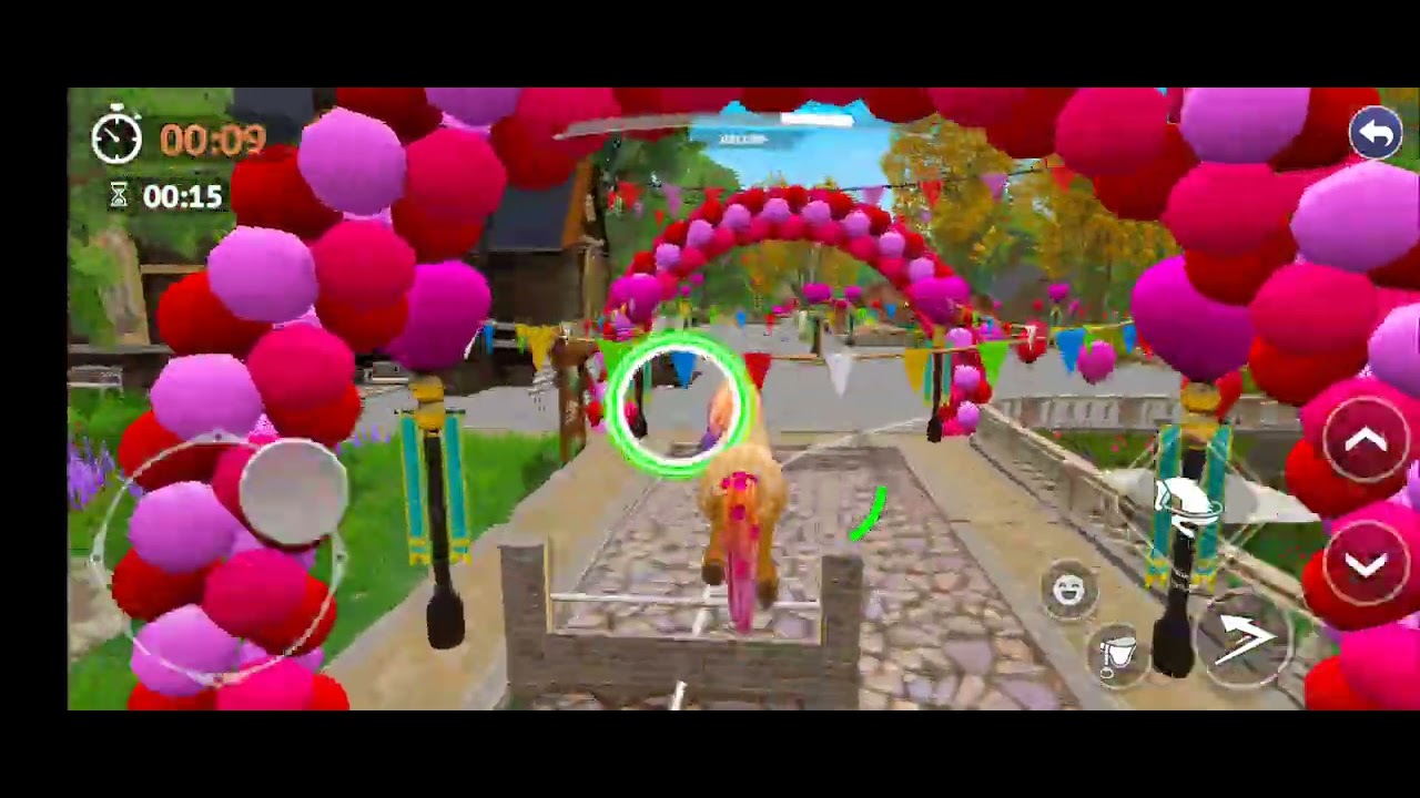 Valentine's Heartside Sprint It Star Equestrian 