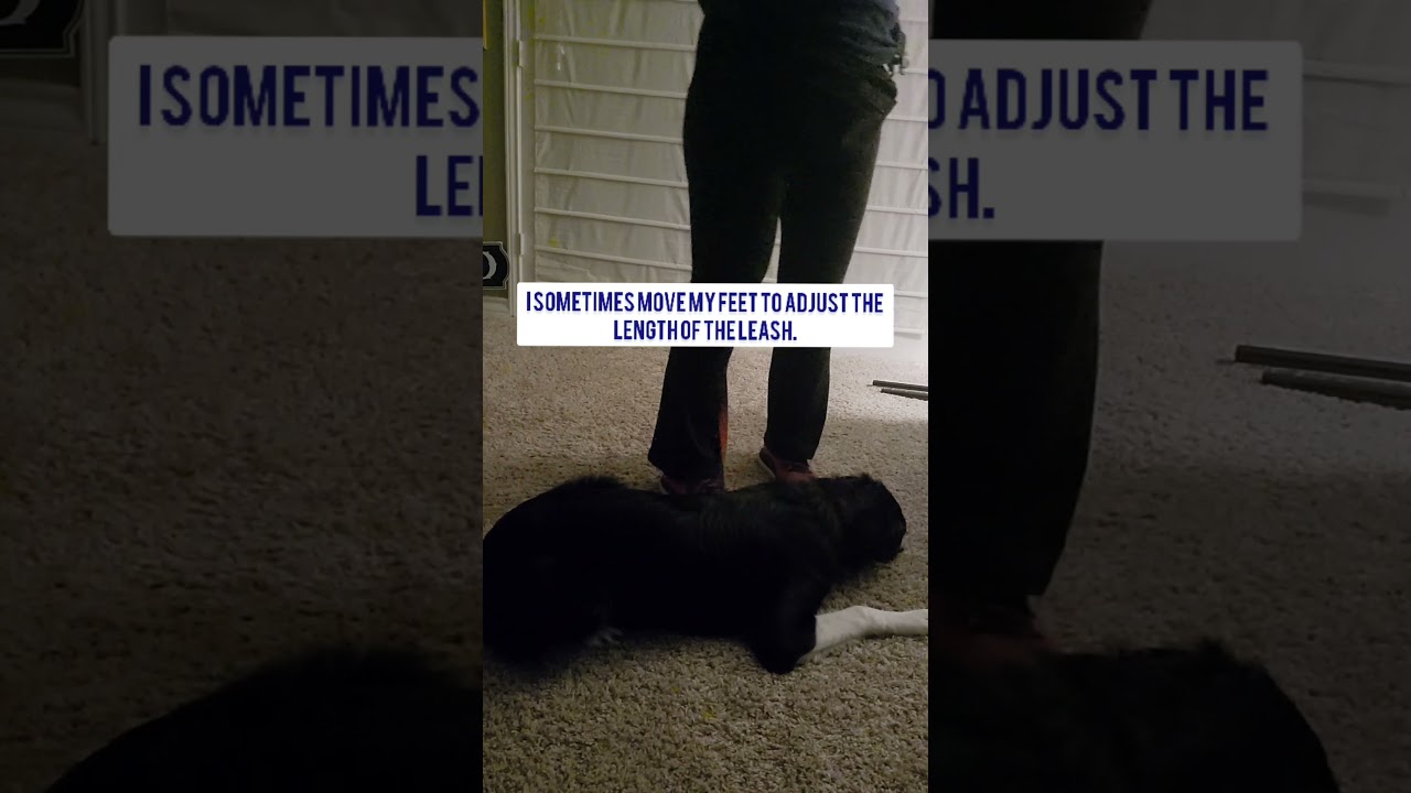 Behavioral down with Gryf