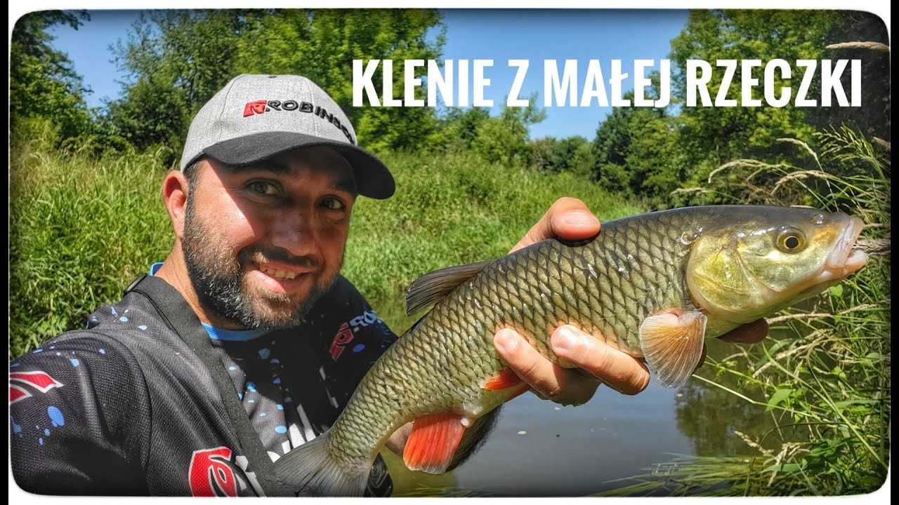KLENIE z małej rzeczki // Lipiec 2025